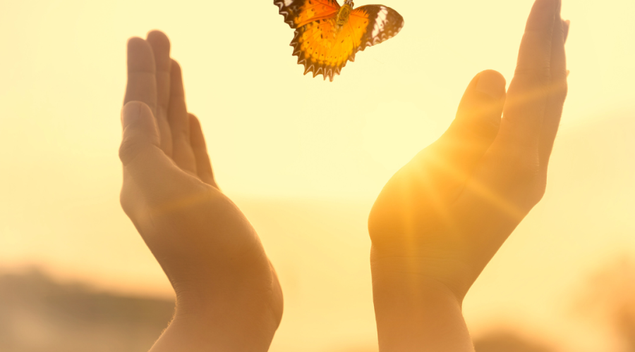 TERAPIA PÉRDIDAS NEONATAL